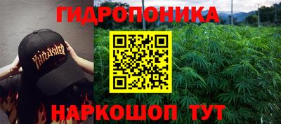 МДПВ Мариинск