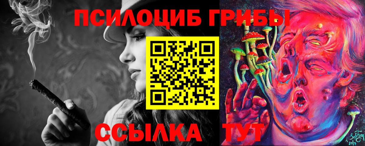 Псилоцибиновые грибы мицелий  Вход с VPN  Галлюциногенные грибы ЛСД  Среднеуральск 
