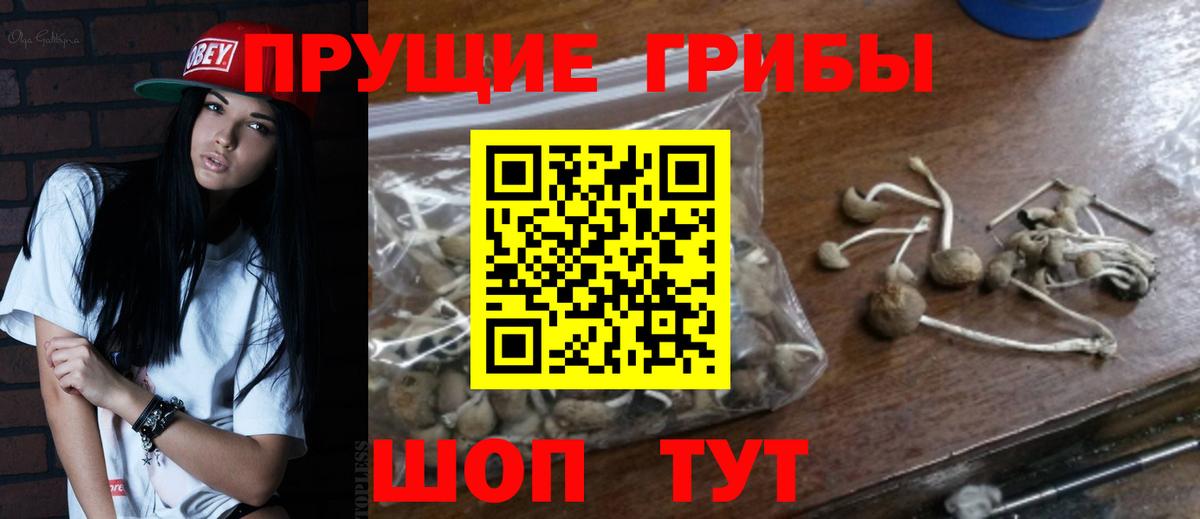 Галлюциногенные грибы Cubensis Среднеуральск